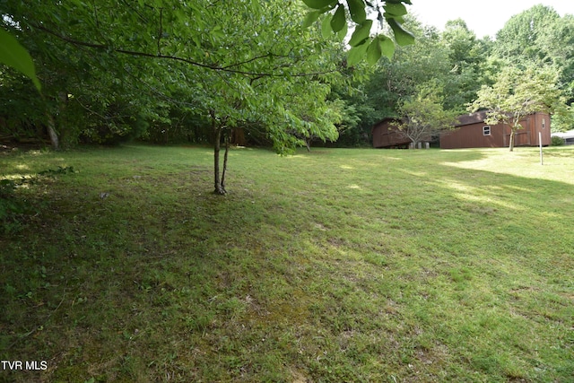127 Sewanee Rd, Johnson City, TN 37601 - photo 4