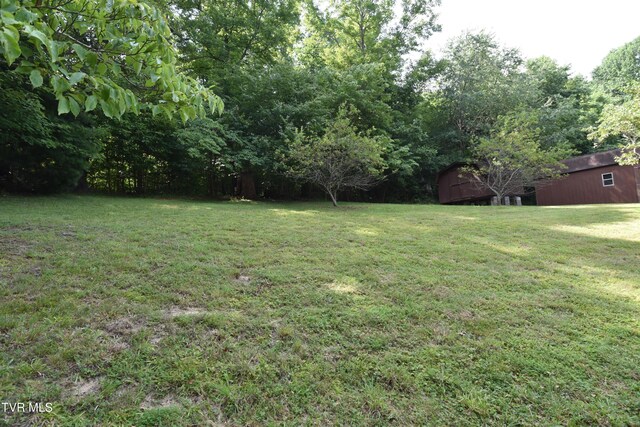 127 Sewanee Rd, Johnson City, TN 37601 - photo 6