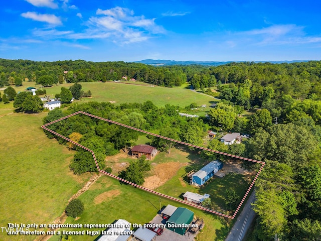 317 Berry Rd, Bulls Gap, TN 37711 - photo 5
