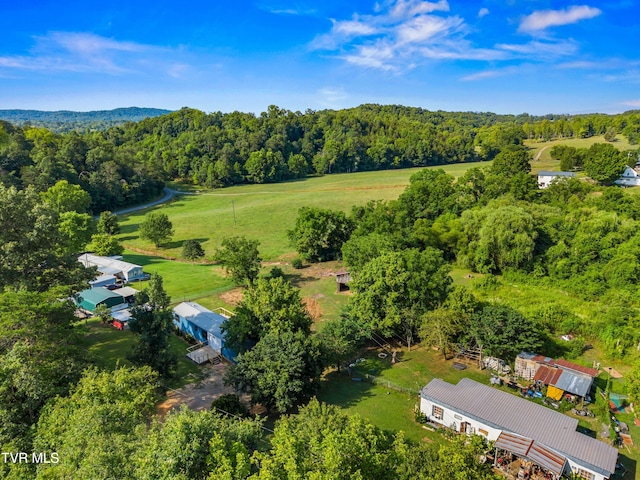 317 Berry Rd, Bulls Gap, TN 37711 - photo 29