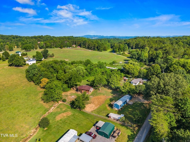 317 Berry Rd, Bulls Gap, TN 37711 - photo 30