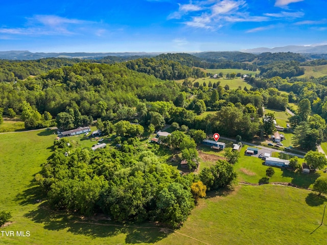 317 Berry Rd, Bulls Gap, TN 37711 - photo 31