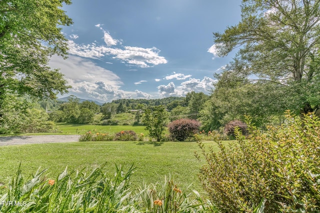 2711 Pleasant Valley Rd, Mountain City, TN 37683 - photo 5