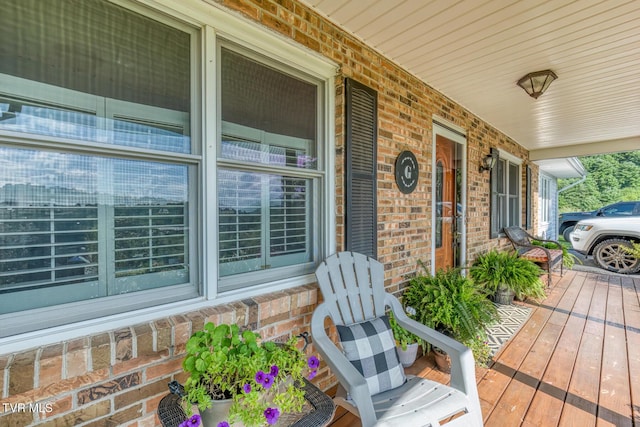 2711 Pleasant Valley Rd, Mountain City, TN 37683 - photo 6
