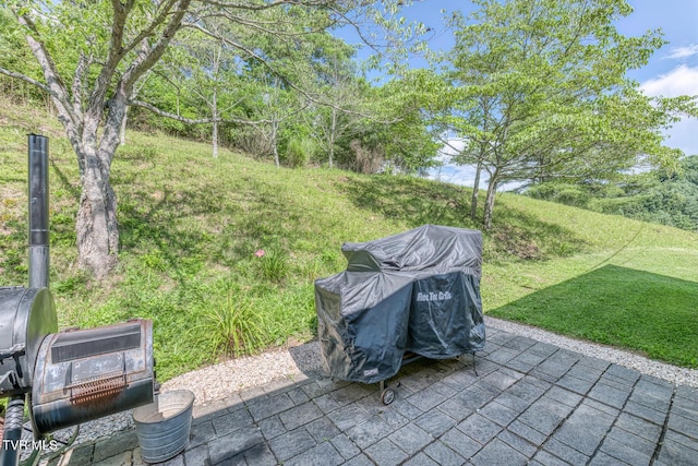 2711 Pleasant Valley Rd, Mountain City, TN 37683 - photo 28