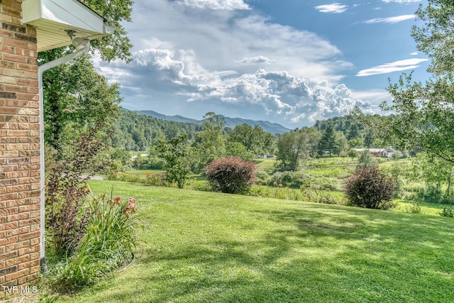 2711 Pleasant Valley Rd, Mountain City, TN 37683 - photo 36