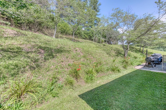 2711 Pleasant Valley Rd, Mountain City, TN 37683 - photo 39