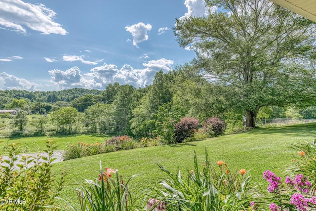 2711 Pleasant Valley Rd, Mountain City, TN 37683 - photo 4