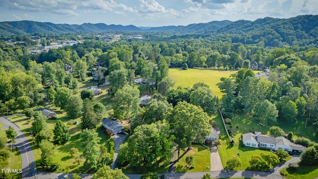 103 Butler Dr, Bristol, TN 37620 - photo 34