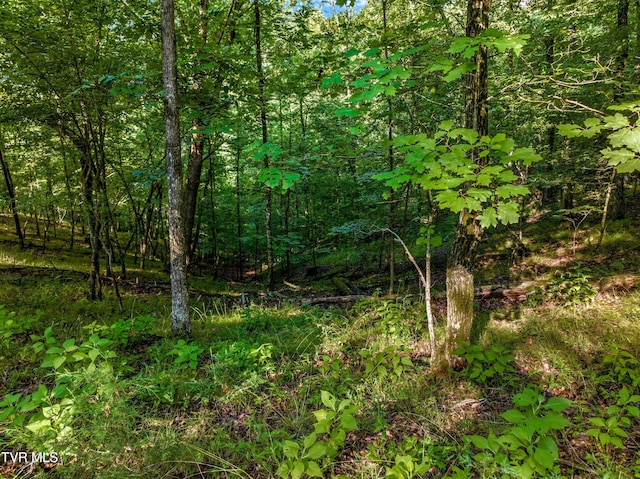 1308 Muskogee Dr, Mooresburg, TN 37811 - photo 12