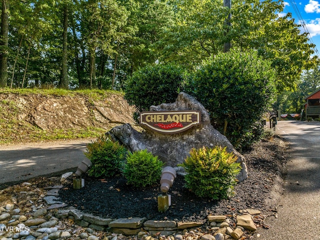 1308 Muskogee Dr, Mooresburg, TN 37811 - photo 15
