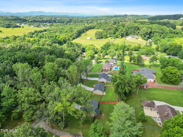 135 Woodcrest Dr, Greeneville, TN 37745 - photo 43