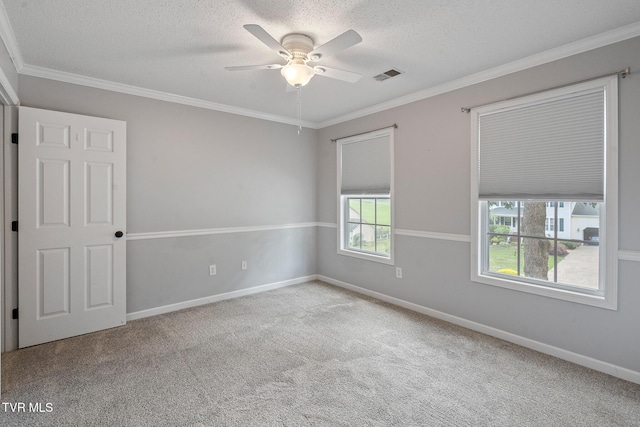 1034 Mill Way Ct, Jonesborough, TN 37659 - photo 20