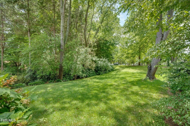204 Amber Dr, Bristol, TN 37620 - photo 39
