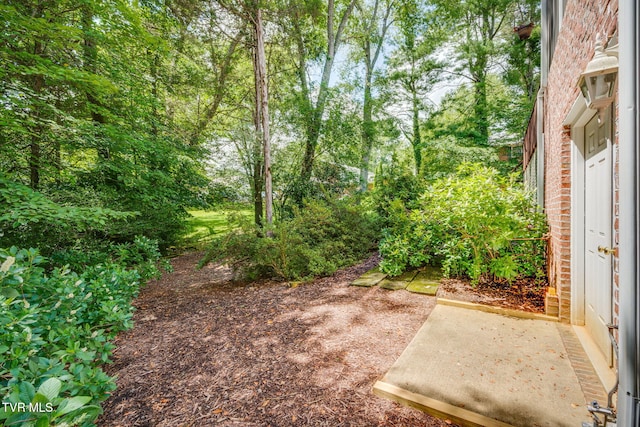 204 Amber Dr, Bristol, TN 37620 - photo 41