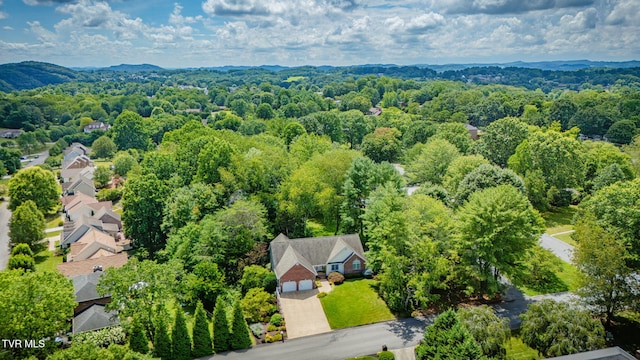 204 Amber Dr, Bristol, TN 37620 - photo 44