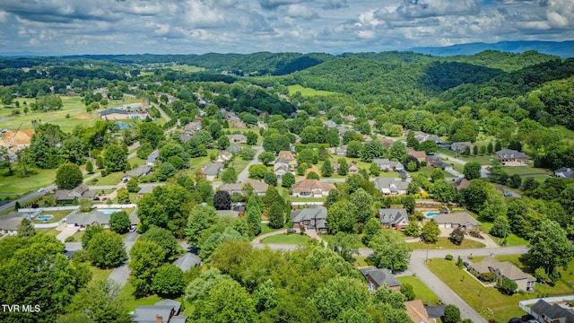 204 Amber Dr, Bristol, TN 37620 - photo 46