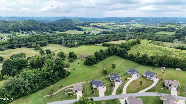 2057 Poplar Ridge Ct, Piney Flats, TN 37686 - photo 69