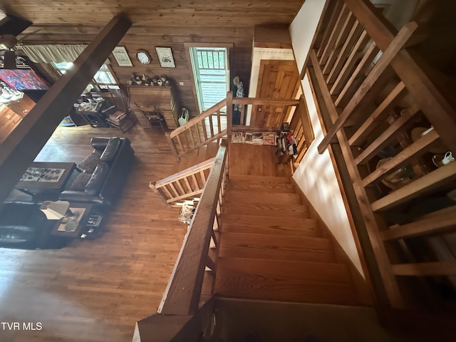 323 Blue Grass Rd, Roan Mountain, TN 37687 - photo 29