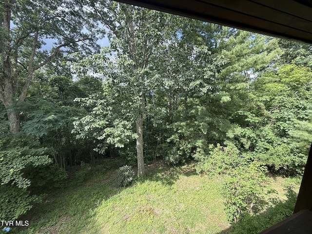323 Blue Grass Rd, Roan Mountain, TN 37687 - photo 43