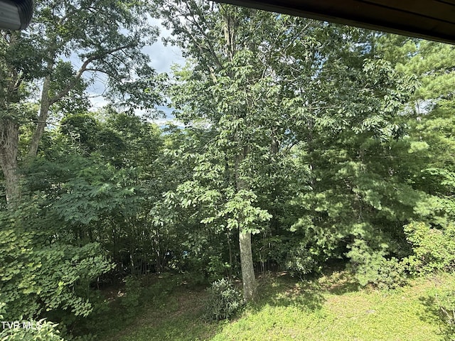 323 Blue Grass Rd, Roan Mountain, TN 37687 - photo 44