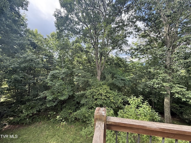 323 Blue Grass Rd, Roan Mountain, TN 37687 - photo 45