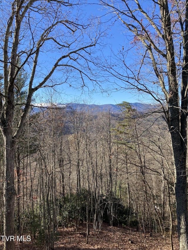 323 Blue Grass Rd, Roan Mountain, TN 37687 - photo 3