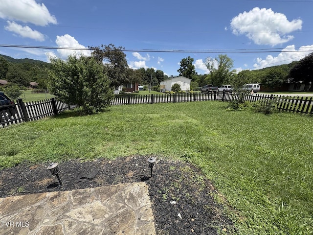 4321 Stone Mountain Rd, Coeburn, VA 24230 - photo 4