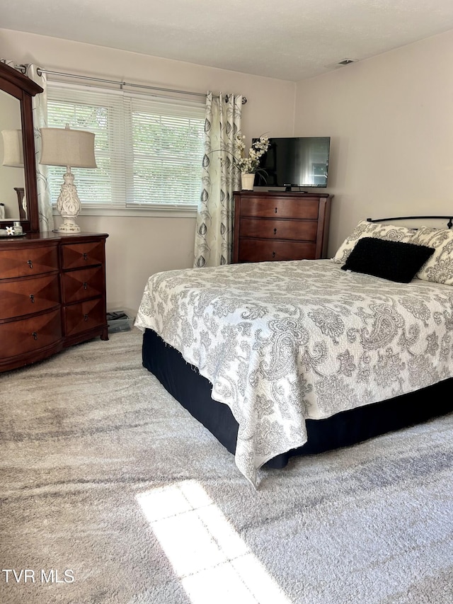 103 Forest Dr, Jonesborough, TN 37659 - photo 18
