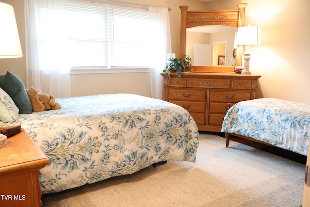 103 Forest Dr, Jonesborough, TN 37659 - photo 22