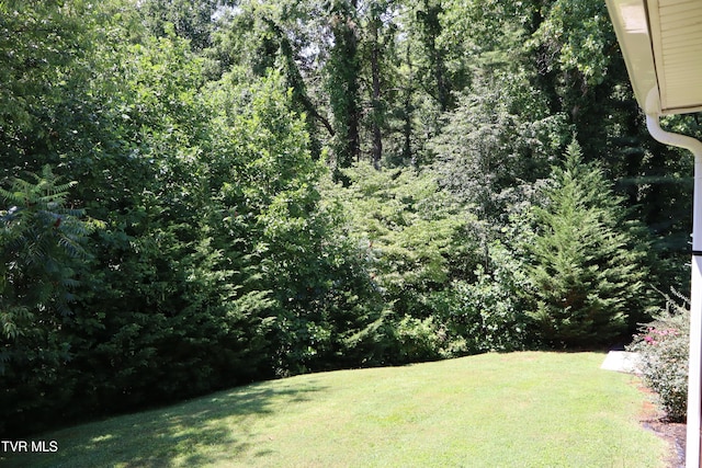 103 Forest Dr, Jonesborough, TN 37659 - photo 49