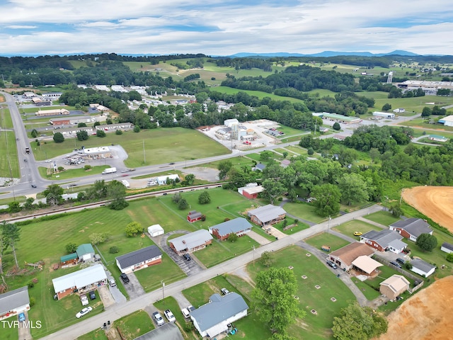 113 Virginia Dr, Greeneville, TN 37745 - photo 45