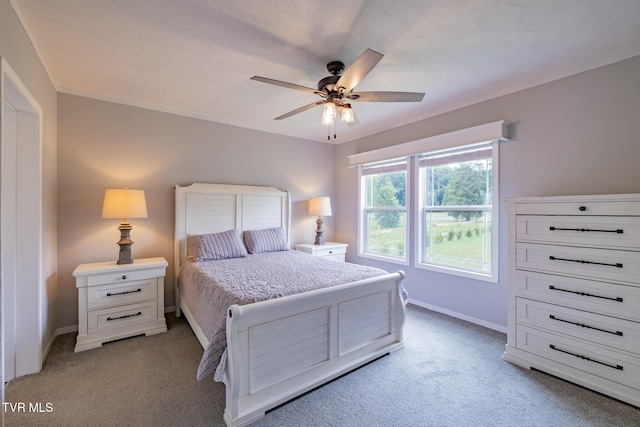 1615 Christian Bend Rd, Church Hill, TN 37642 - photo 6