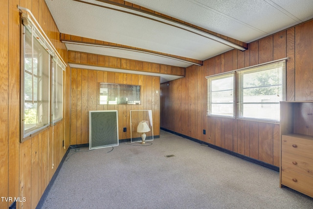 1108 S Walnut Dr, Erwin, TN 37650 - photo 8
