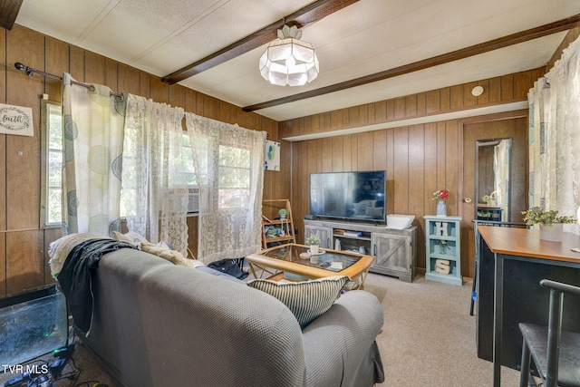 1108 S Walnut Dr, Erwin, TN 37650 - photo 28