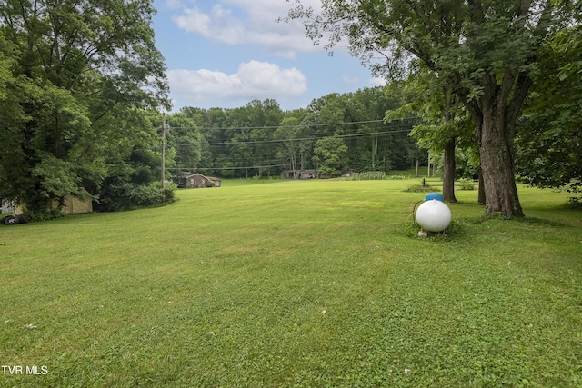 31270 Lee Hwy, Glade Spring, VA 24340 - photo 6