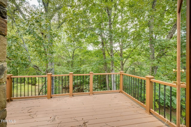 579 Lake Dr, Piney Flats, TN 37686 - photo 54