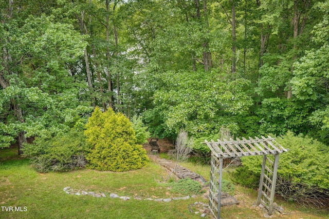 579 Lake Dr, Piney Flats, TN 37686 - photo 59