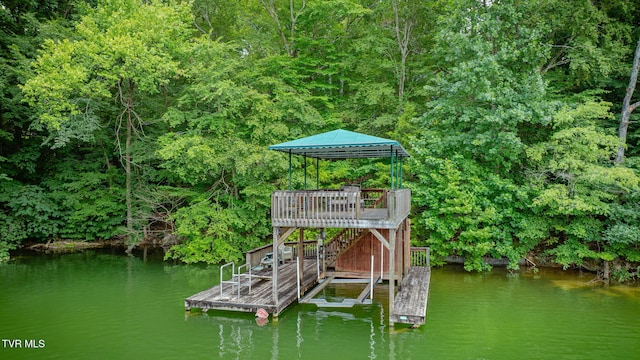 579 Lake Dr, Piney Flats, TN 37686 - photo 63