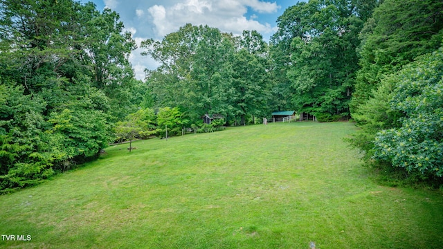 579 Lake Dr, Piney Flats, TN 37686 - photo 65