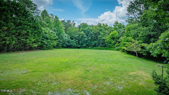 579 Lake Dr, Piney Flats, TN 37686 - photo 66
