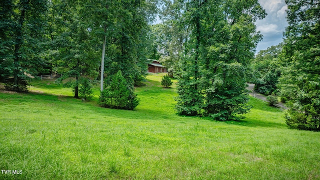 579 Lake Dr, Piney Flats, TN 37686 - photo 67