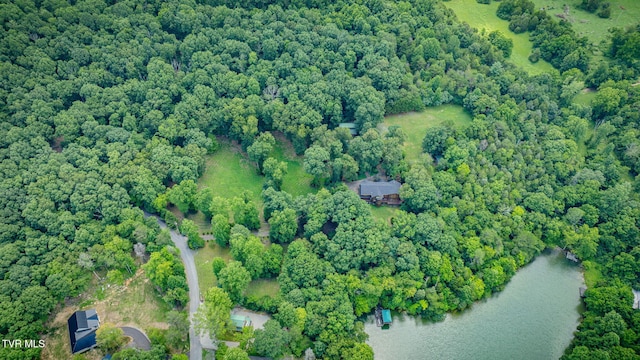579 Lake Dr, Piney Flats, TN 37686 - photo 69