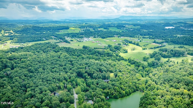 579 Lake Dr, Piney Flats, TN 37686 - photo 70