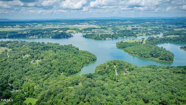 579 Lake Dr, Piney Flats, TN 37686 - photo 71