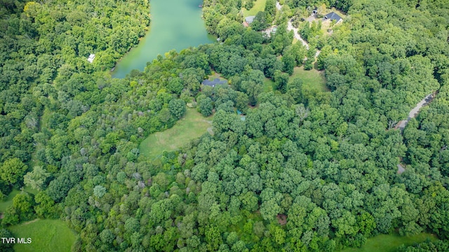 579 Lake Dr, Piney Flats, TN 37686 - photo 73