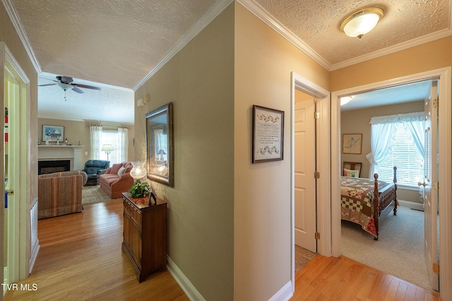 1109 Cooks Ter, Kingsport, TN 37664 - photo 10