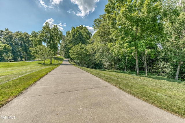 620 Harbor Point Dr, Johnson City, TN 37615 - photo 12