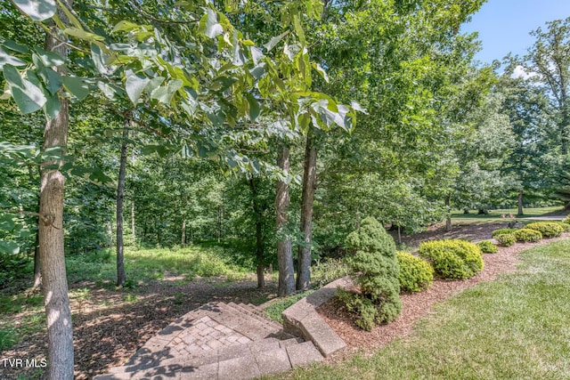 620 Harbor Point Dr, Johnson City, TN 37615 - photo 57