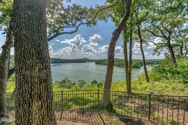 620 Harbor Point Dr, Johnson City, TN 37615 - photo 58